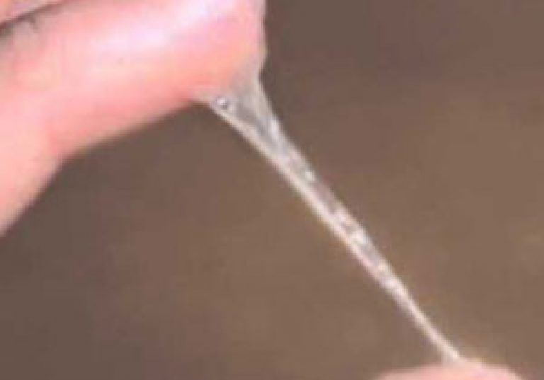 Залупа фонтанирует густой спермой после мастурбации члена бабой