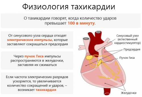 Лечение тахикардии сердца: список препаратов